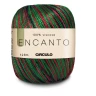 ENCANTO - COR 9055