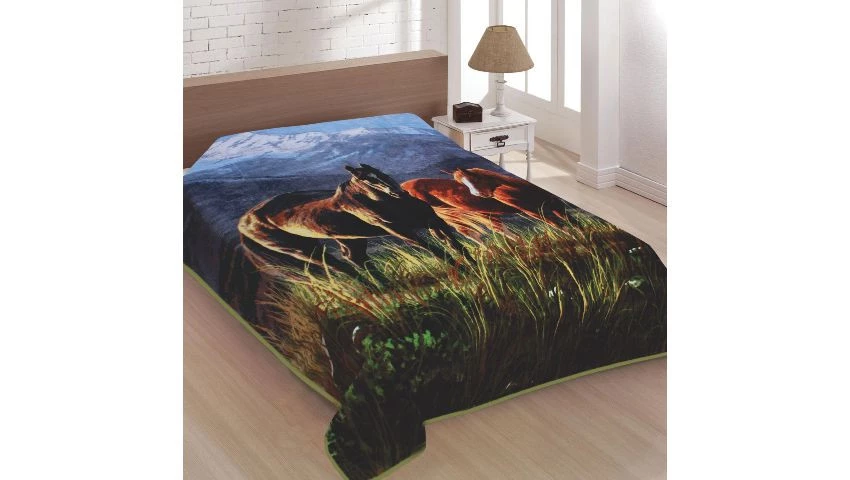 Cobertor Super Soft Solteiro 640G Sort.1